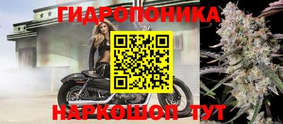 гидра Краснознаменск