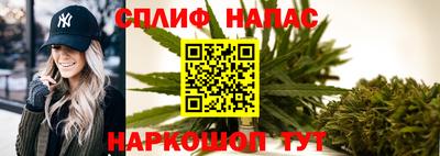 гидра Краснознаменск