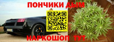 гидра Краснознаменск