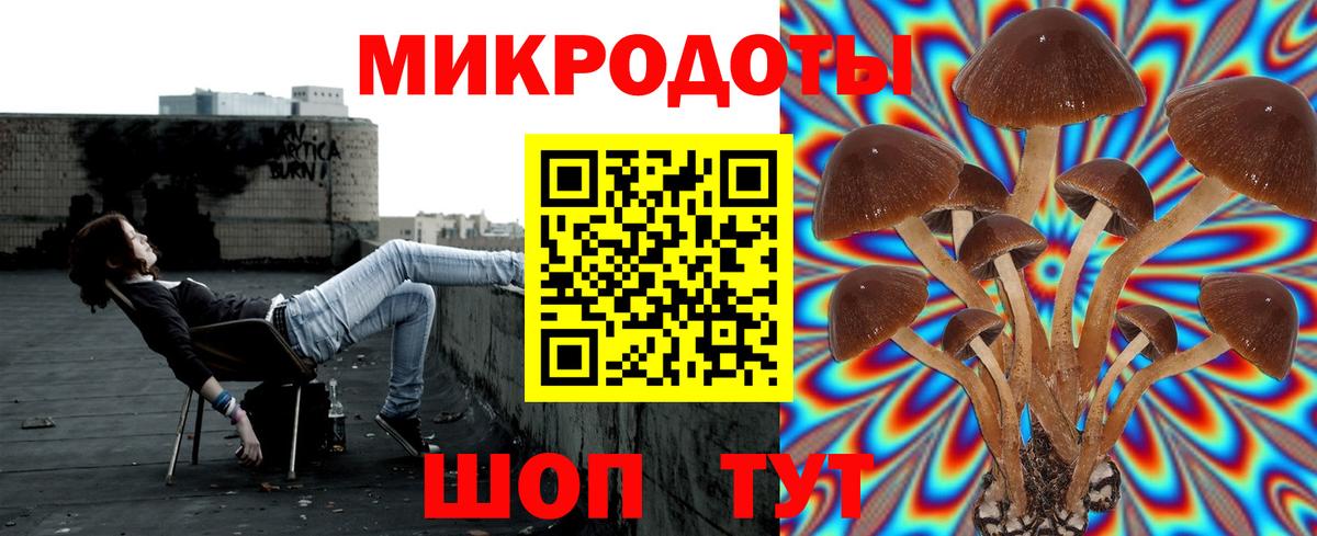 Псилоцибиновые грибы прущие грибы Златоуст