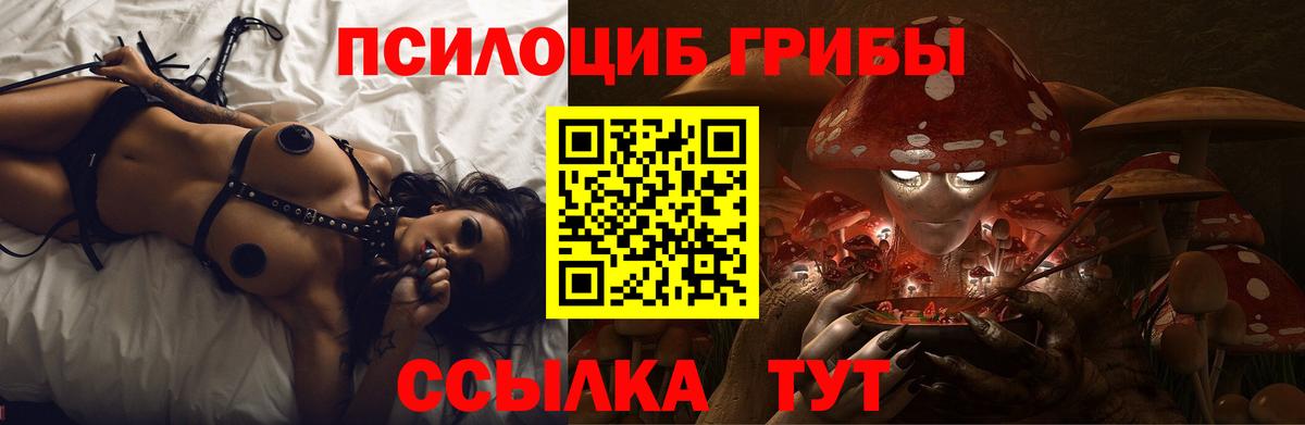Псилоцибиновые грибы Cubensis  Вход с VPN  Златоуст 